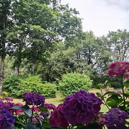 Magnifique 5 Etoiles Avec Piscine Privee Parc 2 Ha Villa *