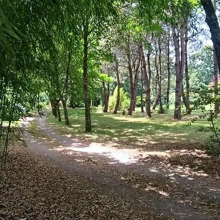 Magnifique 5 Etoiles Avec Piscine Privee Parc 2 Ha *