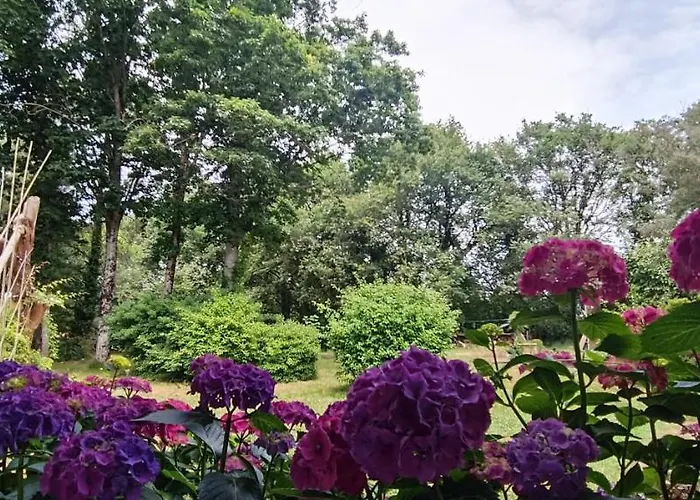 Magnifique 5 Etoiles Avec Piscine Privee Parc 2 Ha Willa *