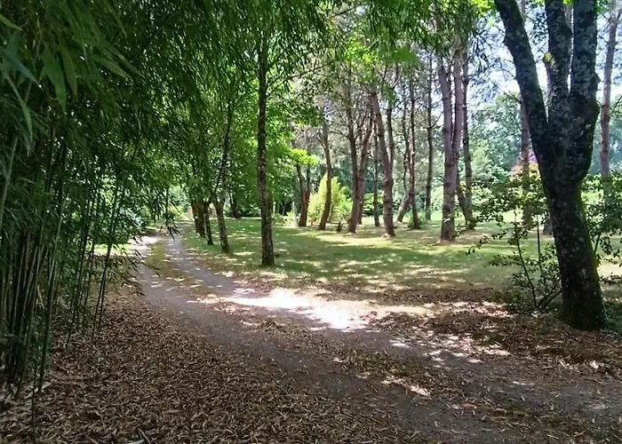 Magnifique 5 Etoiles Avec Piscine Privee Parc 2 Ha *